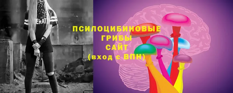 маркетплейс клад  Братск  Галлюциногенные грибы Cubensis  закладка 